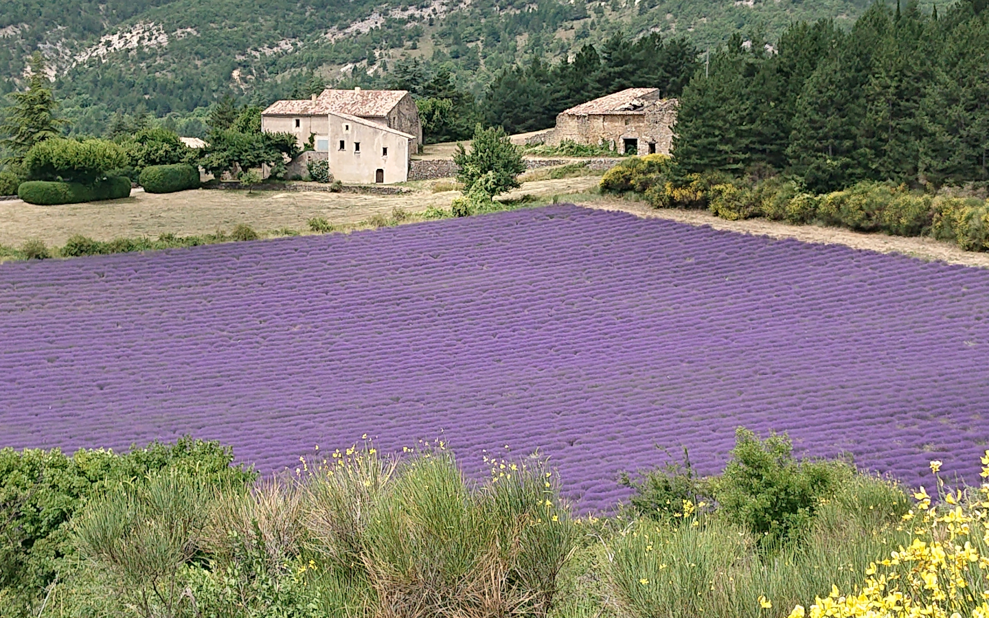 Photo de plage vue du dessus