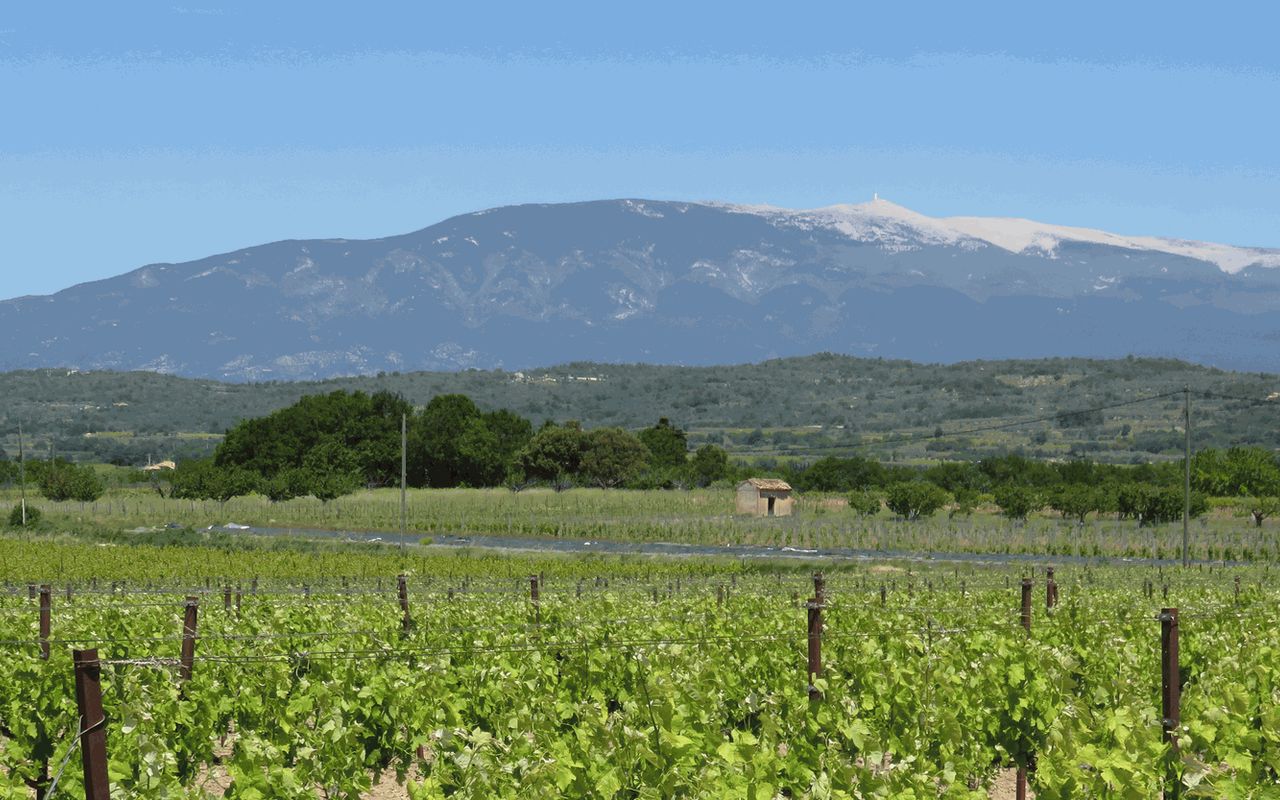 Photo de plage vue du dessus